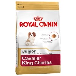 BHN CAVALIER KING CHARLES ADT 1,5KG